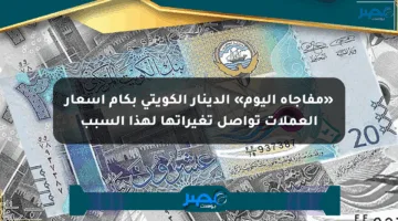 «مفاجأة اليوم» الدينار الكويتي بكام أسعار العملات تواصل تغيراتها لهذا السبب